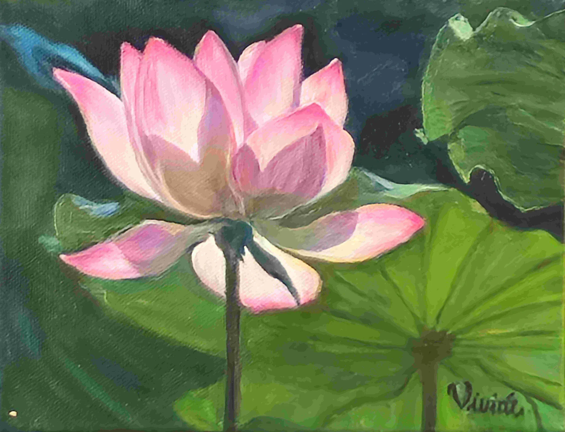 Rebirth of Nature